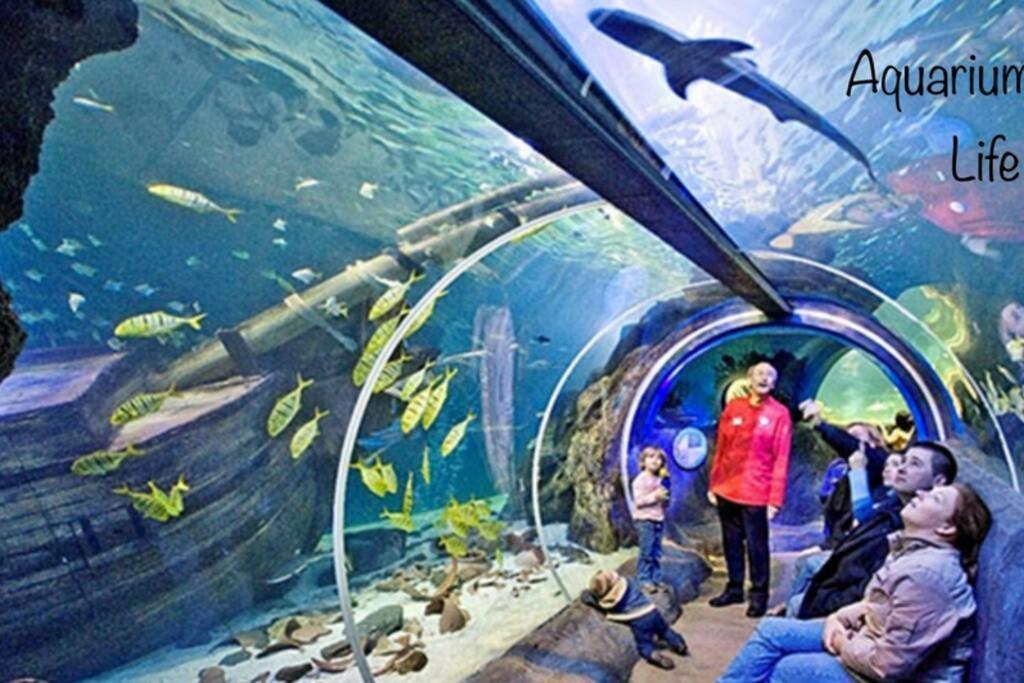 Studio 2 Adultes 2 Enfants Parcs Disneyland Paris Montévrain Exteriér fotografie